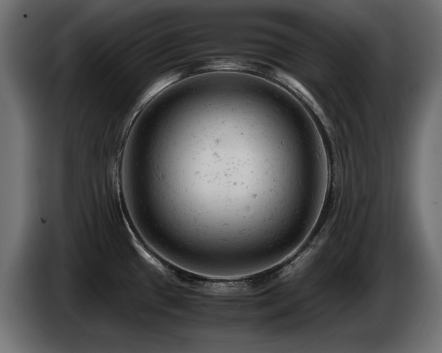 X0000087671433200705041002