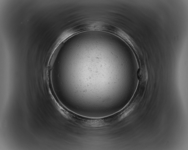 X0000087671434200705041002