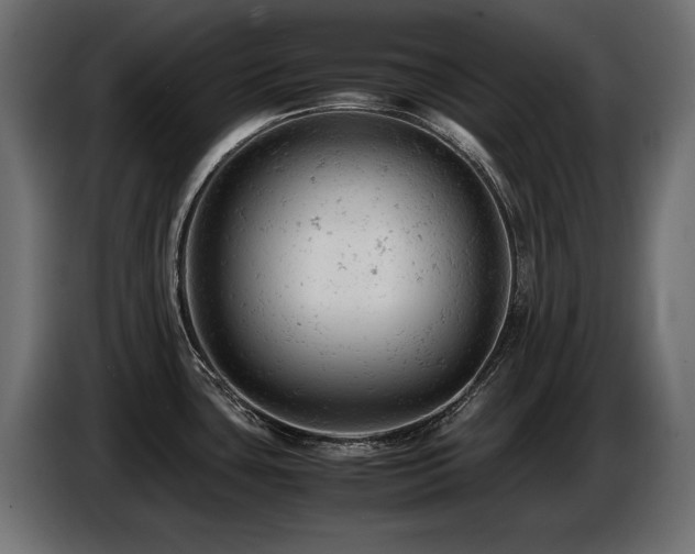 X0000087671435200705041002