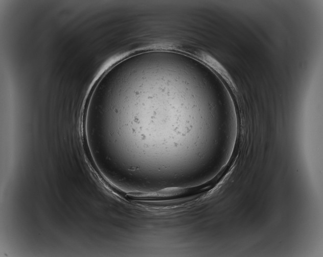 X0000087671436200705041002