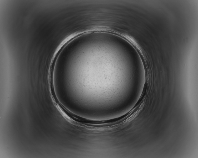 X0000087671438200705041002