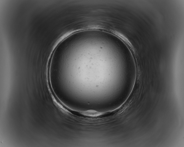 X0000087671439200705041002