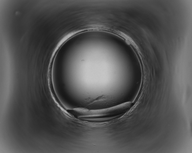 X0000087671440200705041002