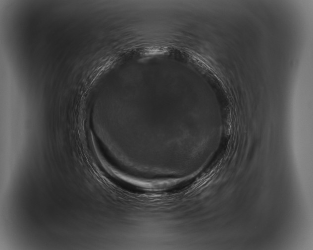 X0000087671441200705041002