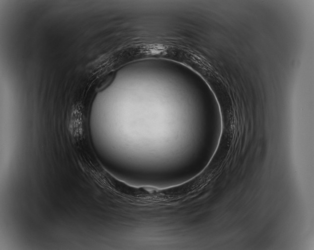 X0000087671442200705041002