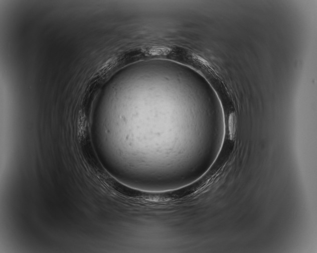 X0000087671443200705041002