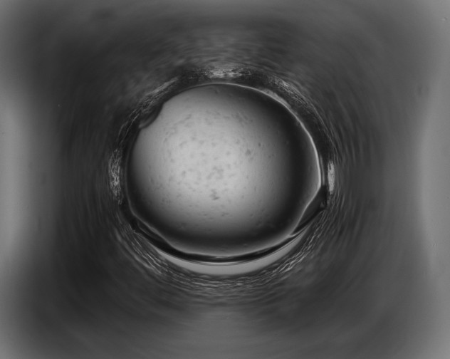 X0000087671444200705041002