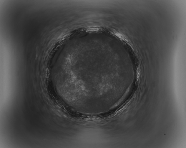 X0000087671445200705041002