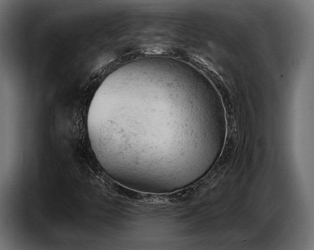 X0000087671446200705041002