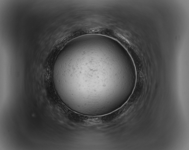 X0000087671447200705041002