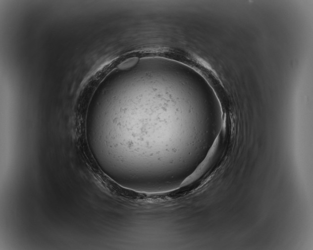 X0000087671448200705041002