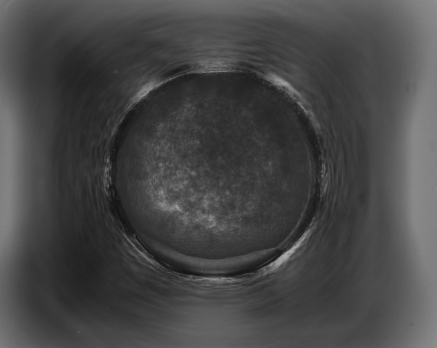 X0000087671449200705041002