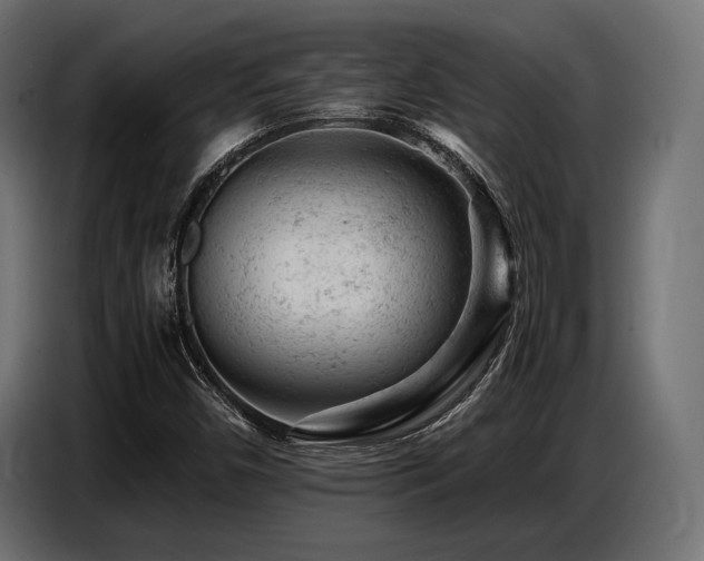 X0000087671450200705041002