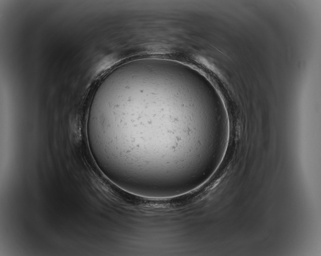 X0000087671451200705041002