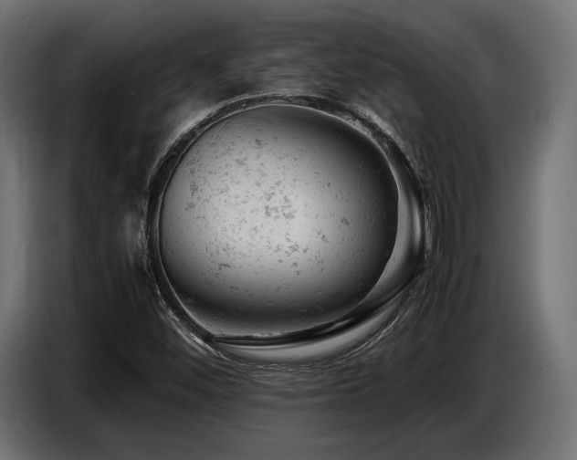 X0000087671452200705041002