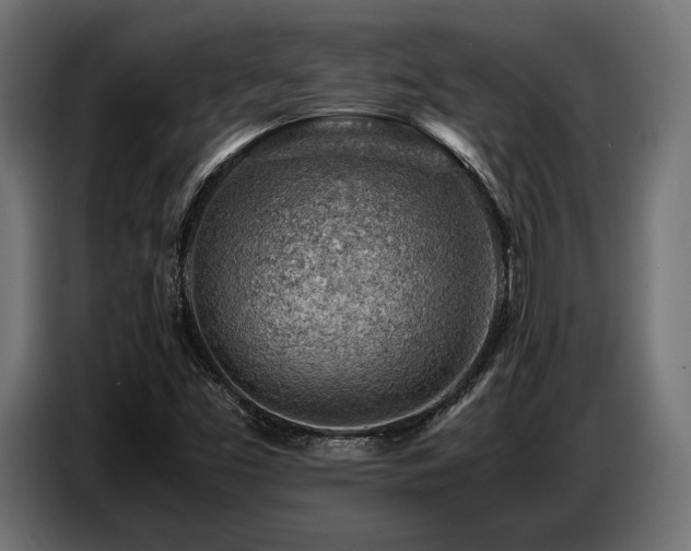 X0000087671453200705041002