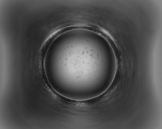 X0000087671456200705041002