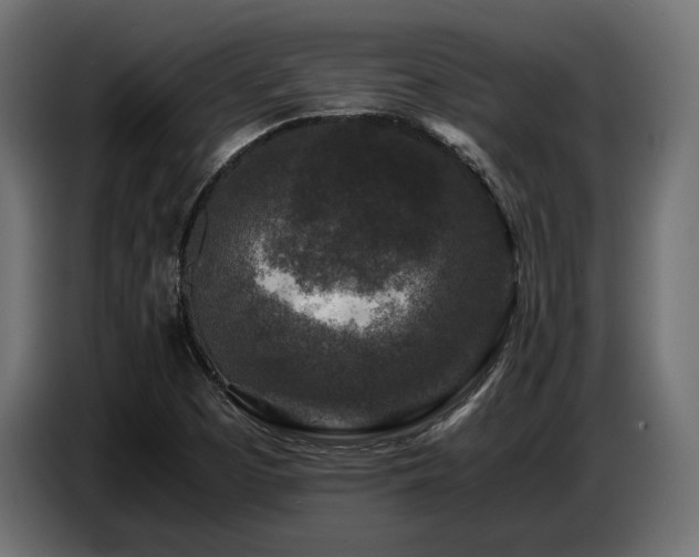 X0000087671457200705041002