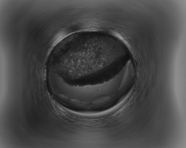 X0000087671459200705041002