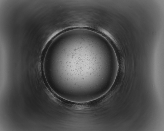 X0000087671460200705041002