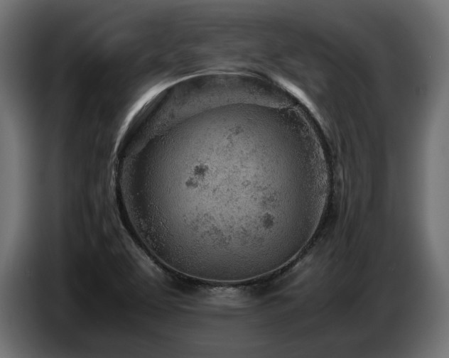 X0000087671463200705041002