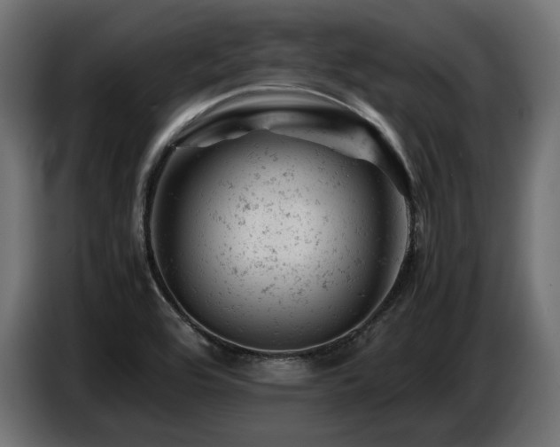 X0000087671464200705041002