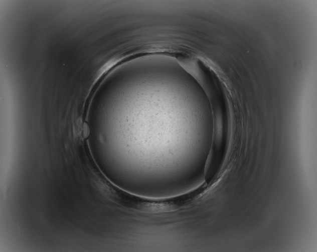 X0000087671465200705041002