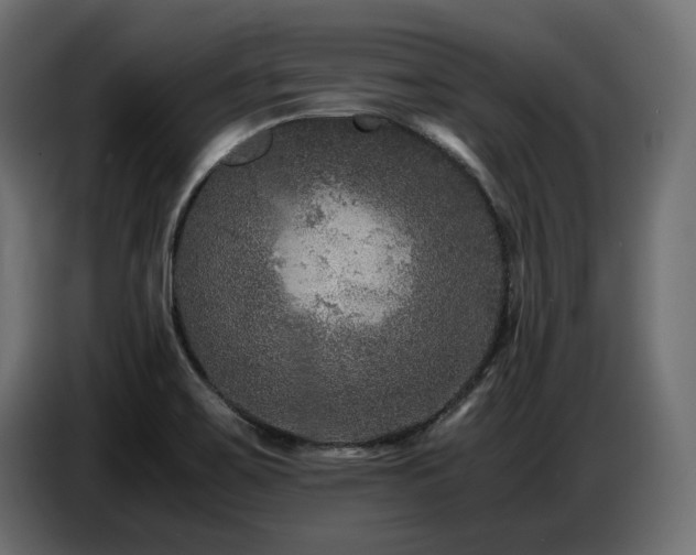 X0000087671467200705041002