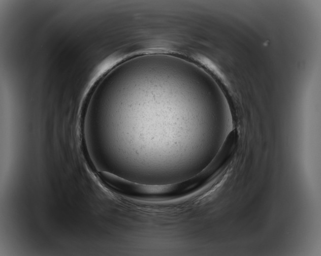 X0000087671469200705041002