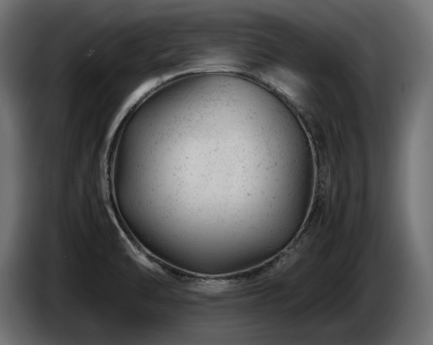 X0000087671470200705041002