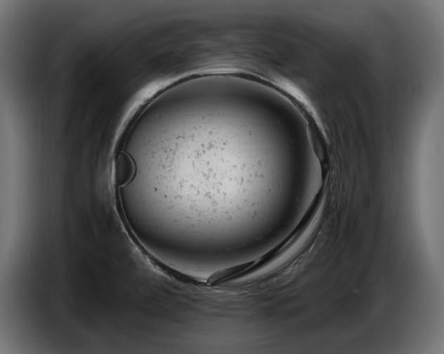 X0000087671472200705041001