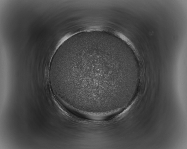 X0000087671473200705041001