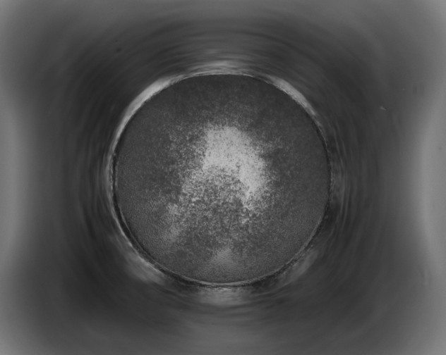 X0000087671474200705041001
