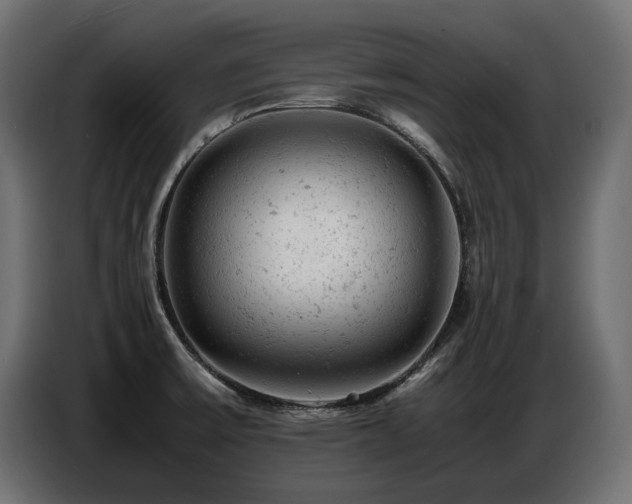 X0000087671475200705041001