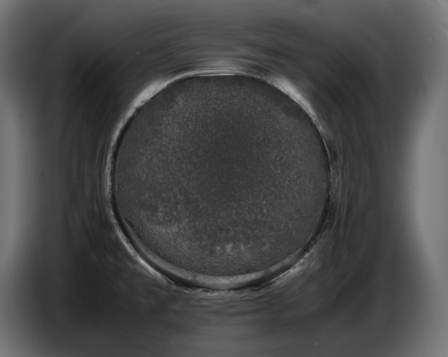 X0000087671477200705041001