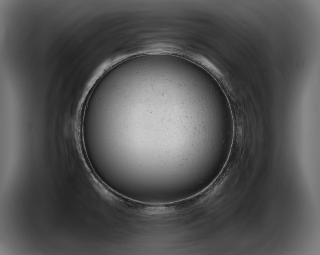 X0000087671478200705041001