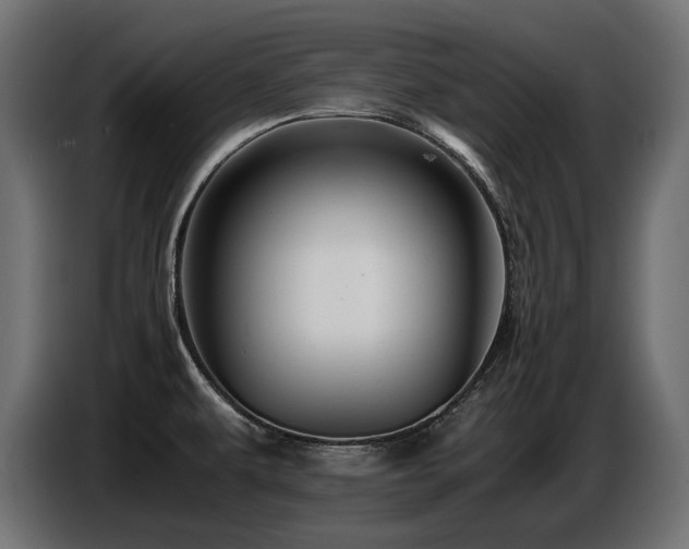 X0000087671479200705041001