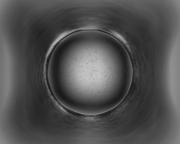 X0000087671480200705041001