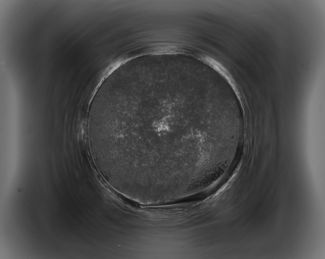 X0000087671481200705041001