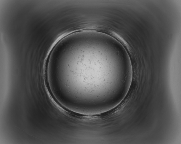 X0000087671483200705041001