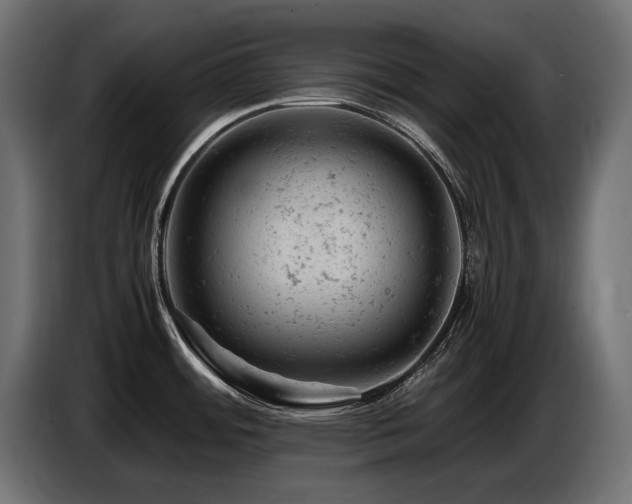 X0000087671484200705041001