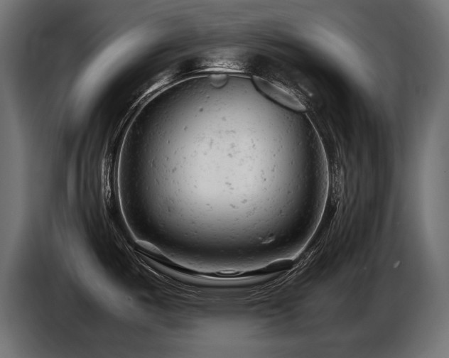 X0000087671487200705041001