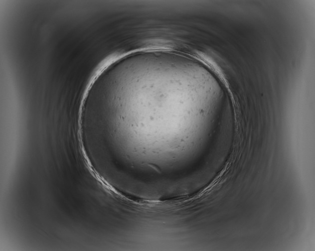 X0000087671488200705041001