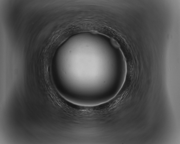 X0000087671489200705041001