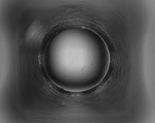 X0000087671490200705041001