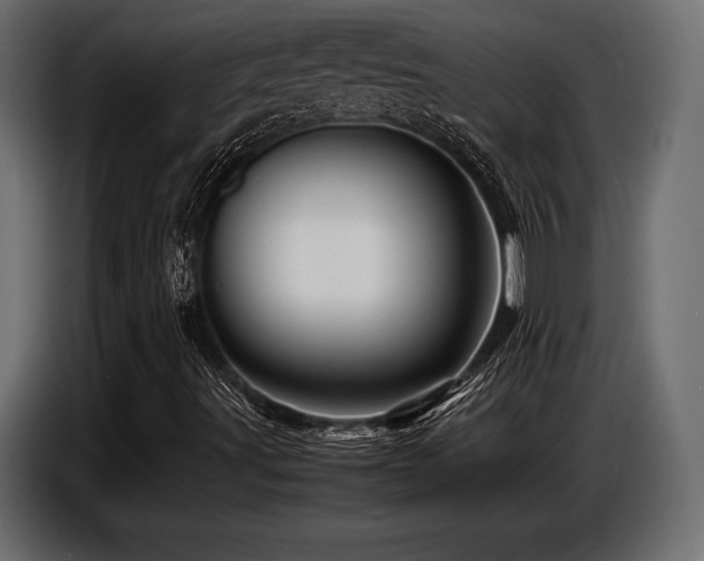 X0000087671491200705041001