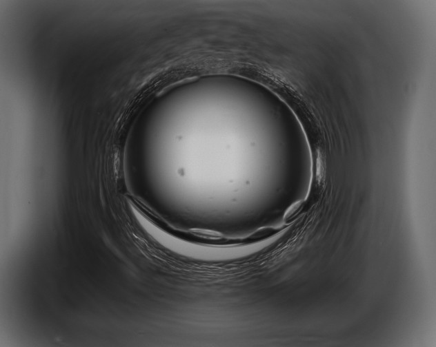 X0000087671492200705041001