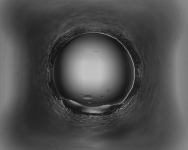 X0000087671493200705041001