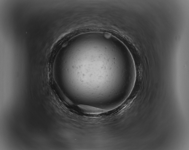 X0000087671494200705041001