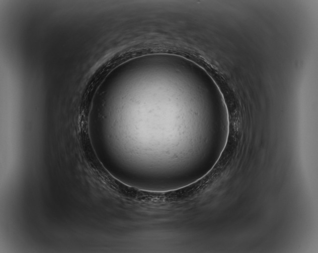 X0000087671495200705041001